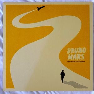 Doo-wops & Hooligans by Bruno Mars ~ Vinyl Record